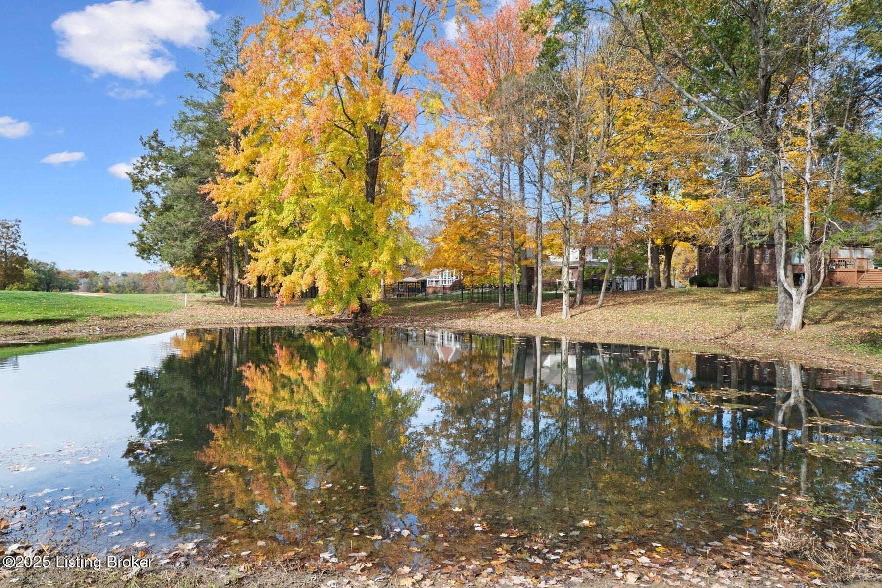 14907 Forest Oaks Dr