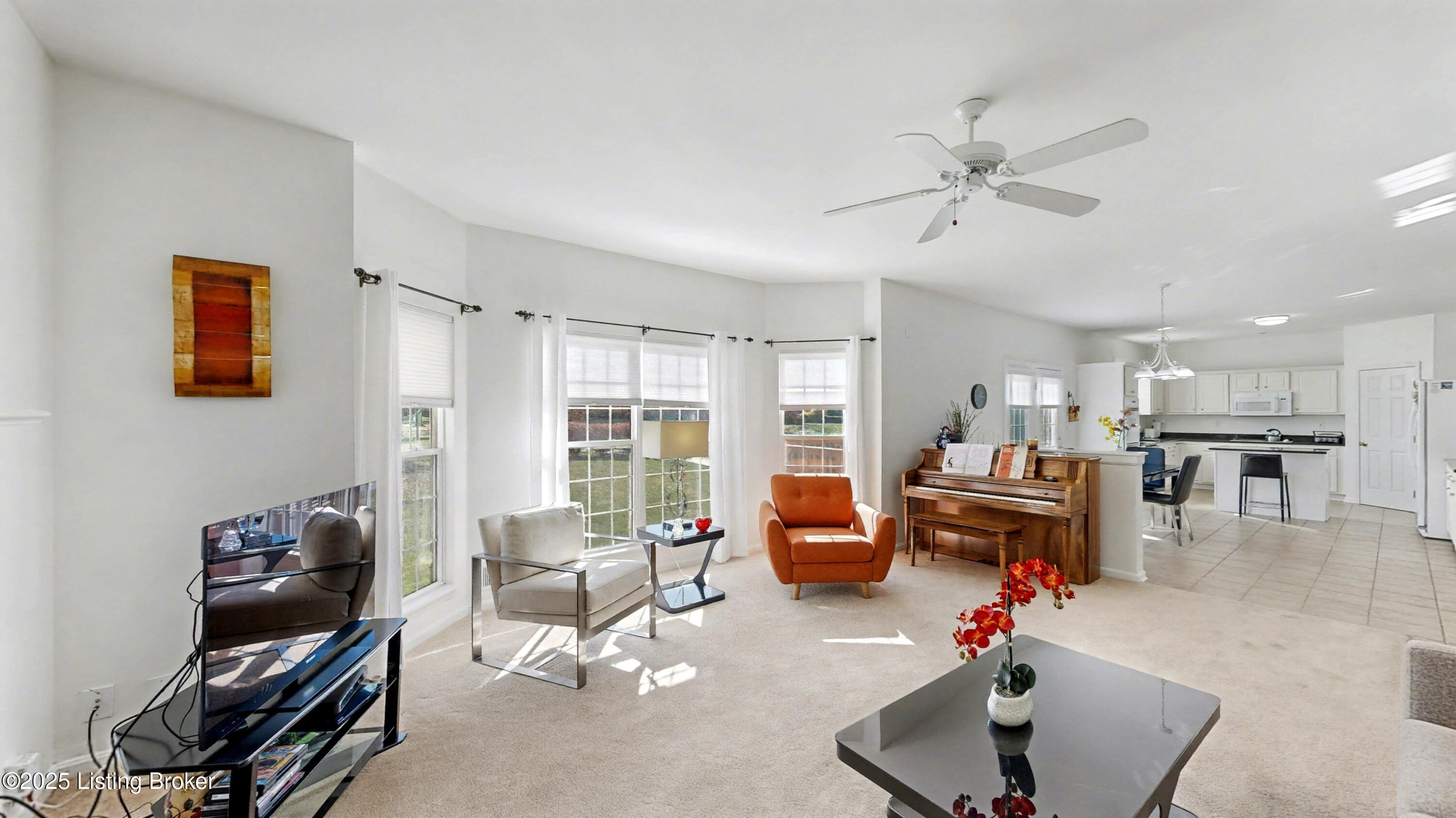 10906 Lake Vista Ct
