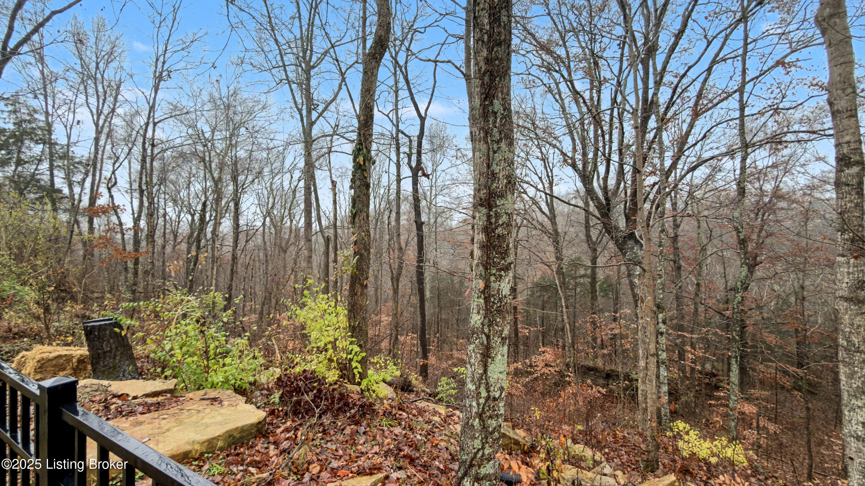 151 Blue Ridge Cir