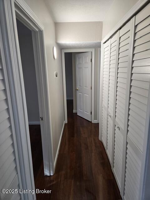 130 Starlite Dr