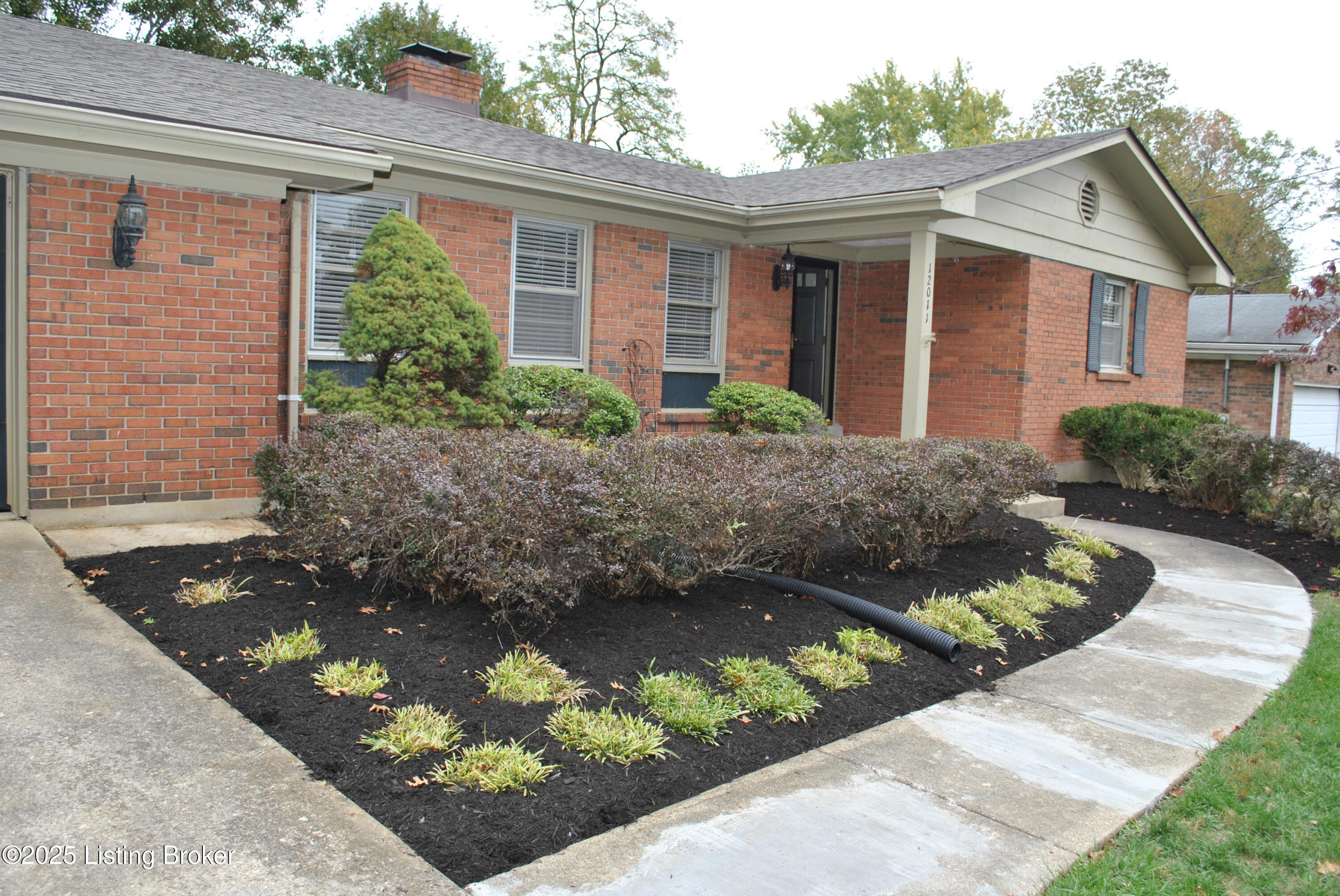 12011 Brookmoor Dr