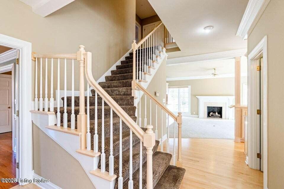 6506 Sedgwicke Dr