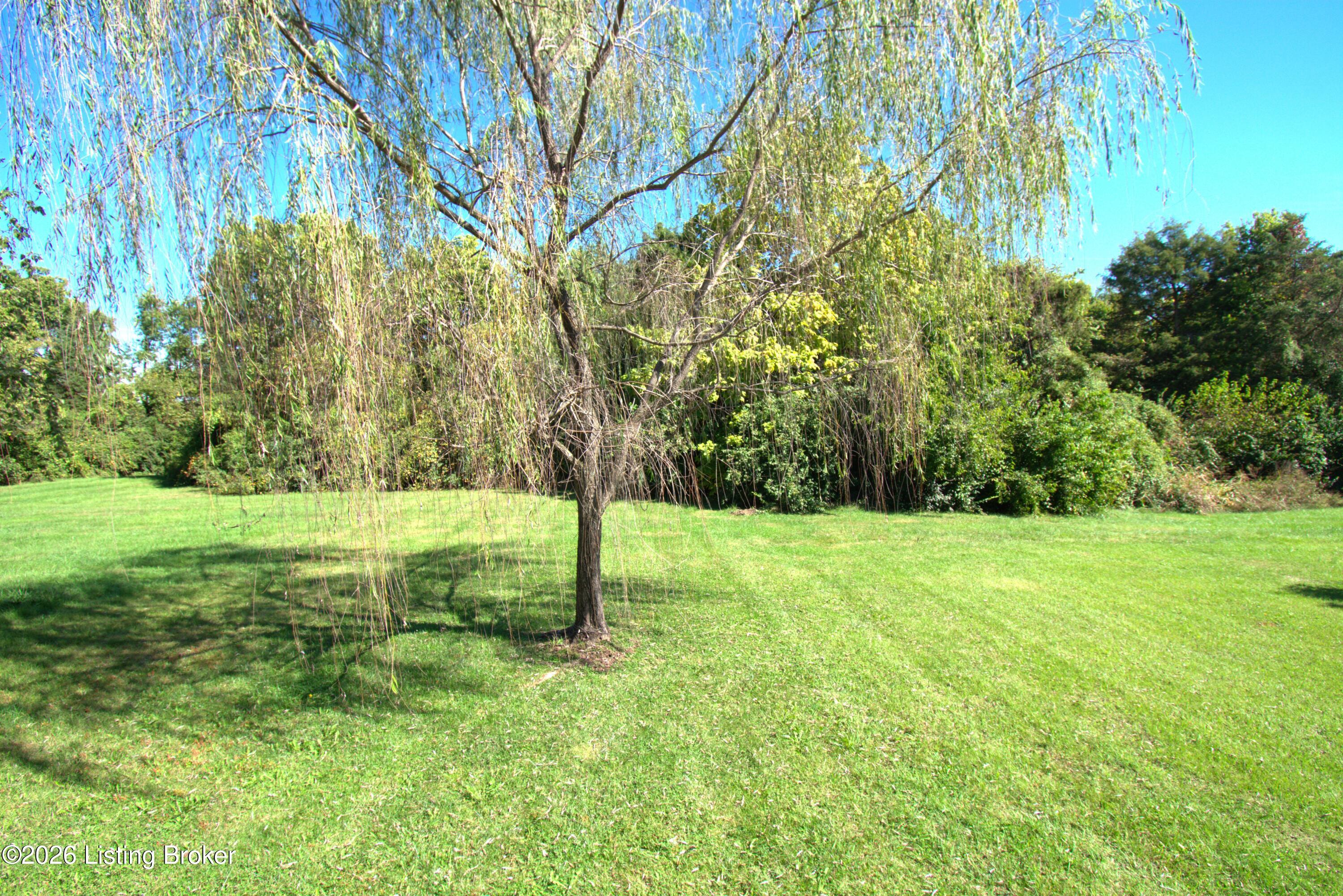 10407 Pinoak View Dr