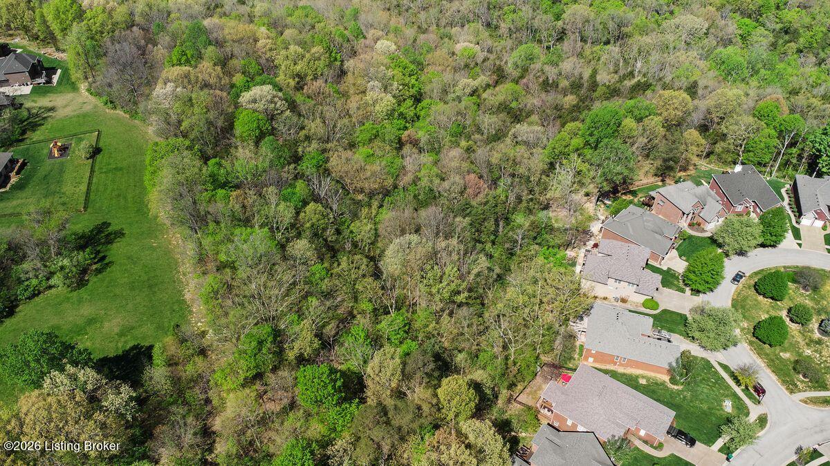 11116 Radleigh Ln