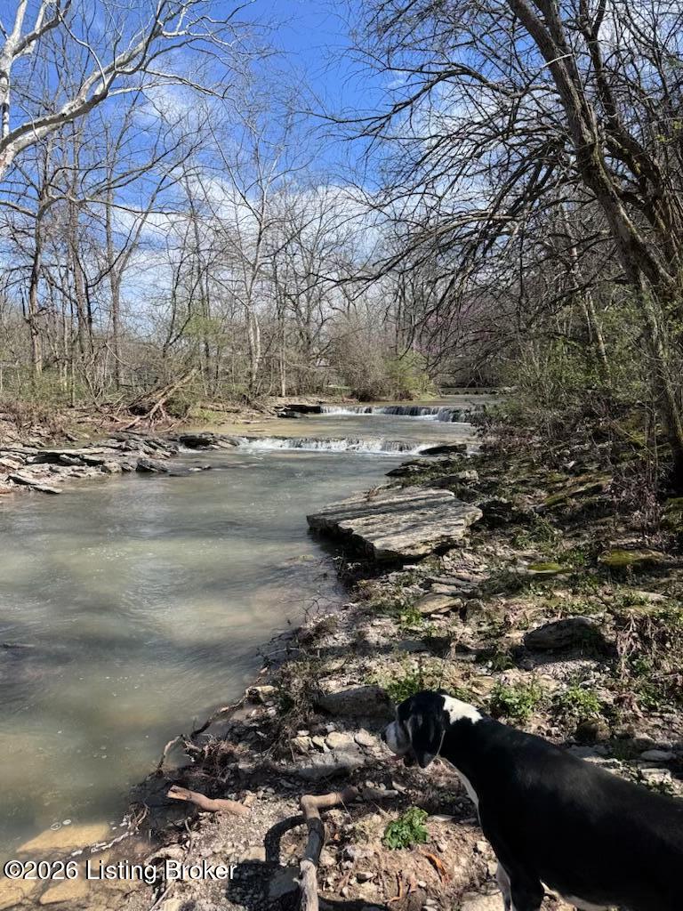 2325 Pattons Creek Rd