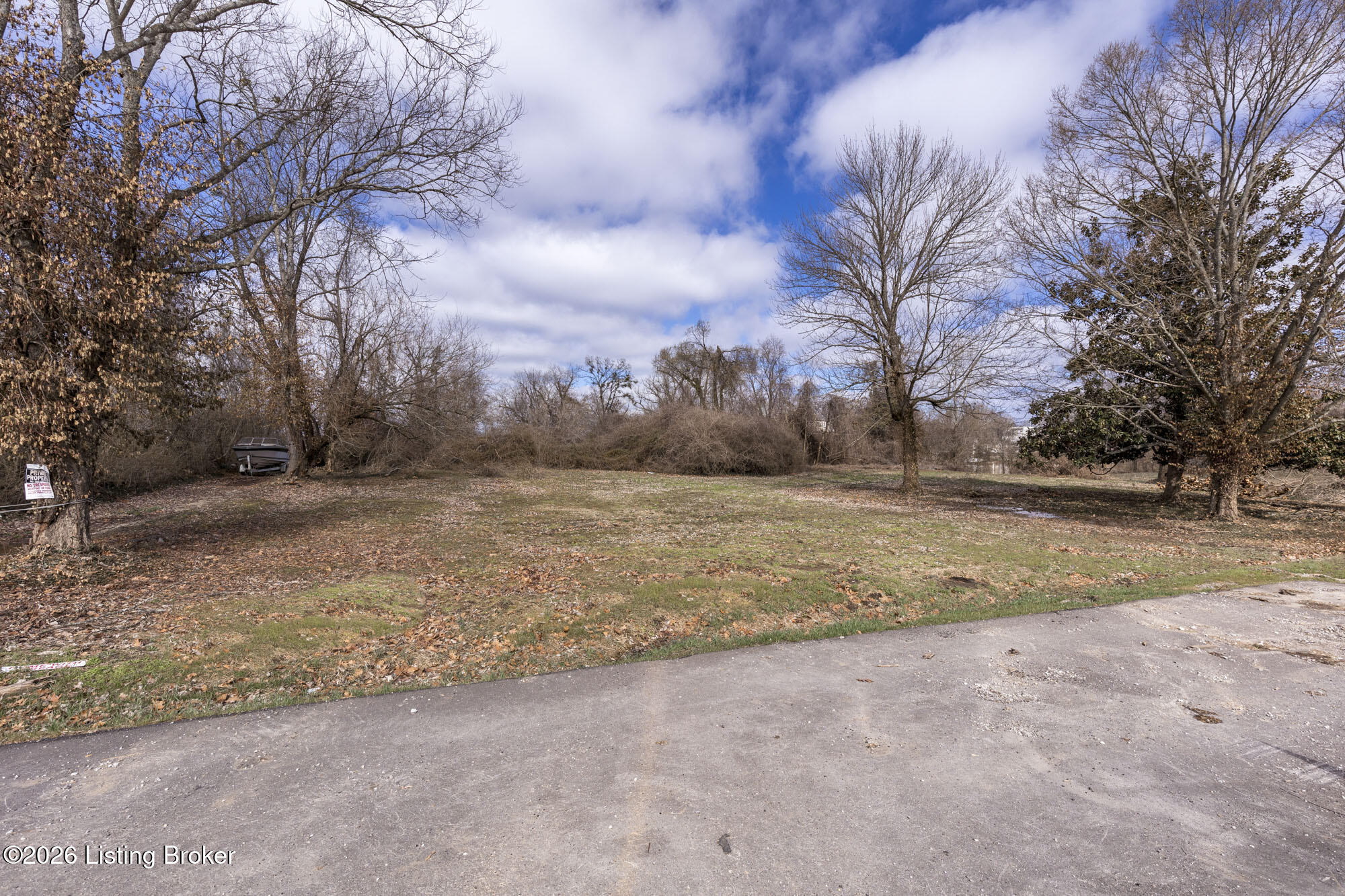 Tree-lined vacant lot with leaf-covered ground beside a paved road.