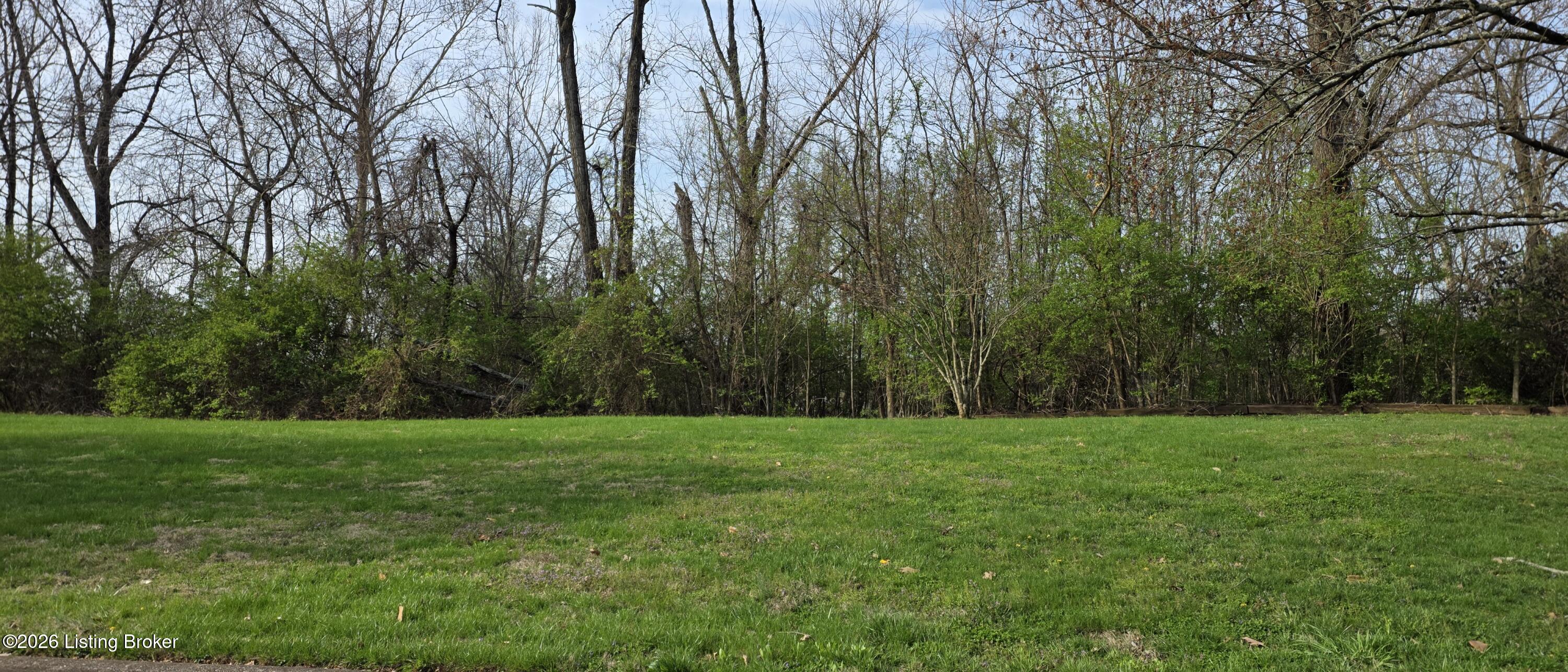 Grassy open lot bordered by shrubs and mostly leafless trees.