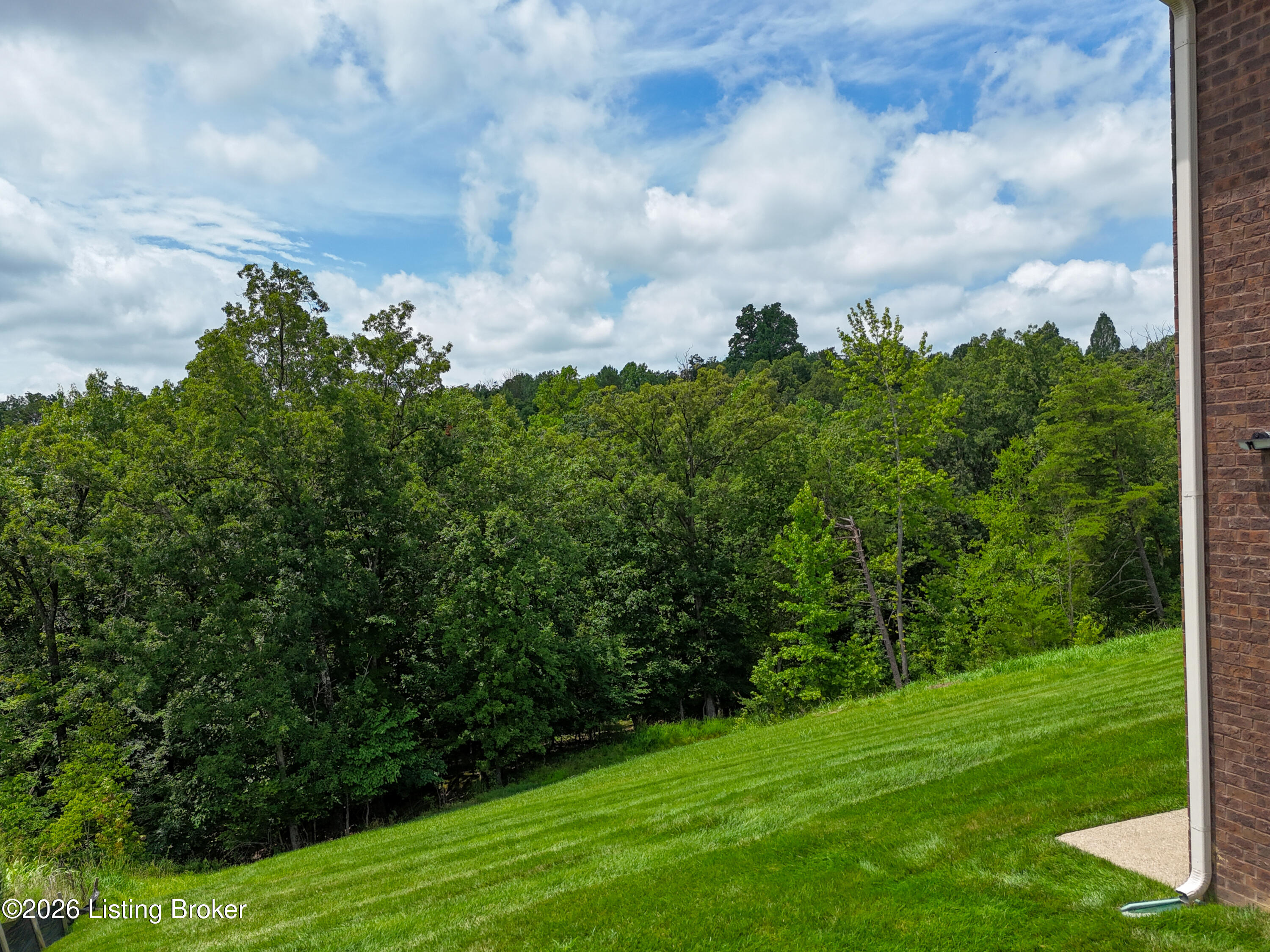 8022 Wooded Ridge Dr
