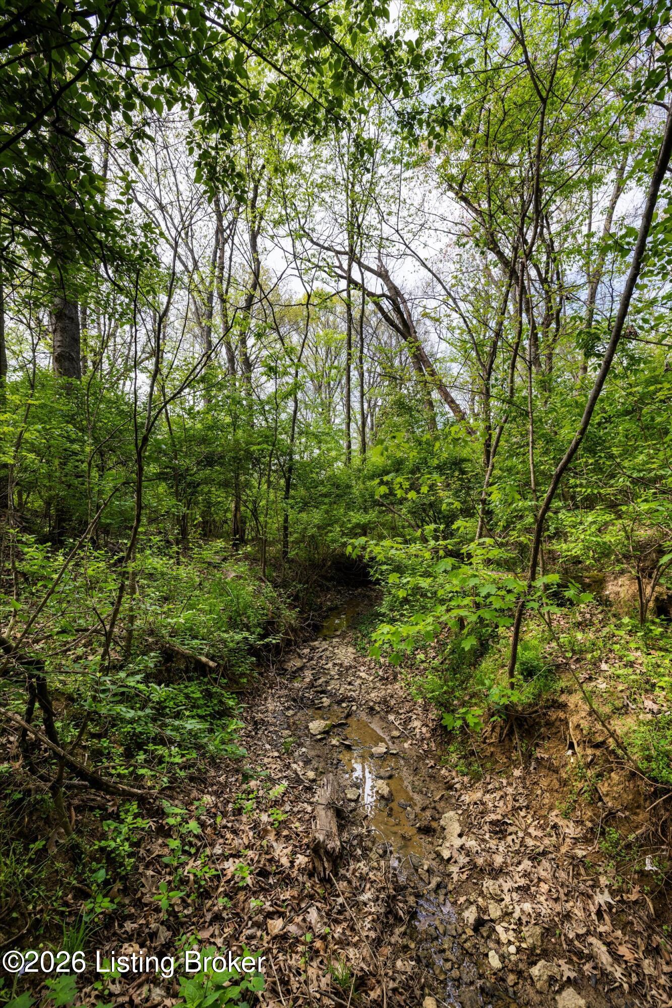 170 Hidden Valley Dr