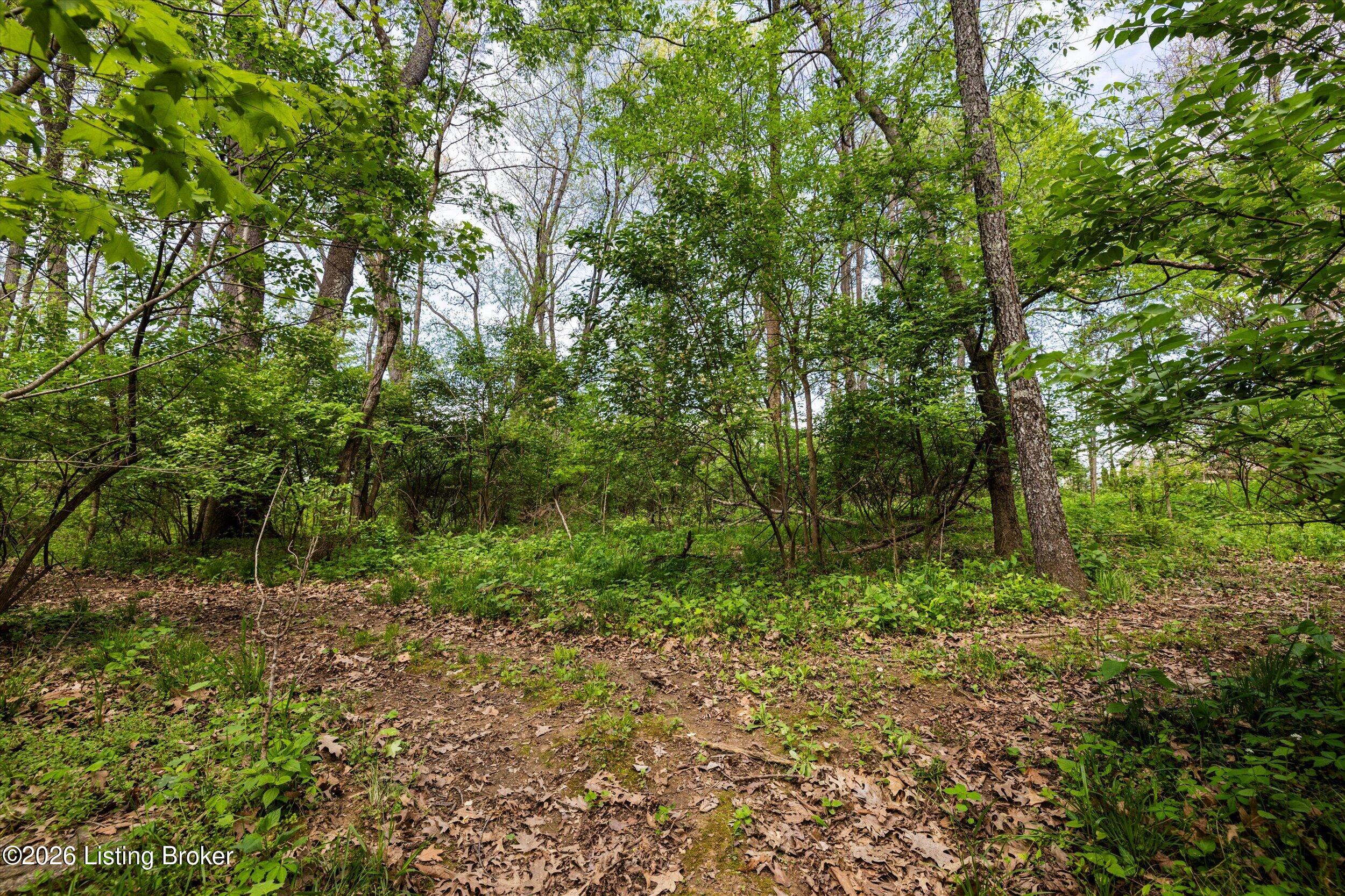 170 Hidden Valley Dr