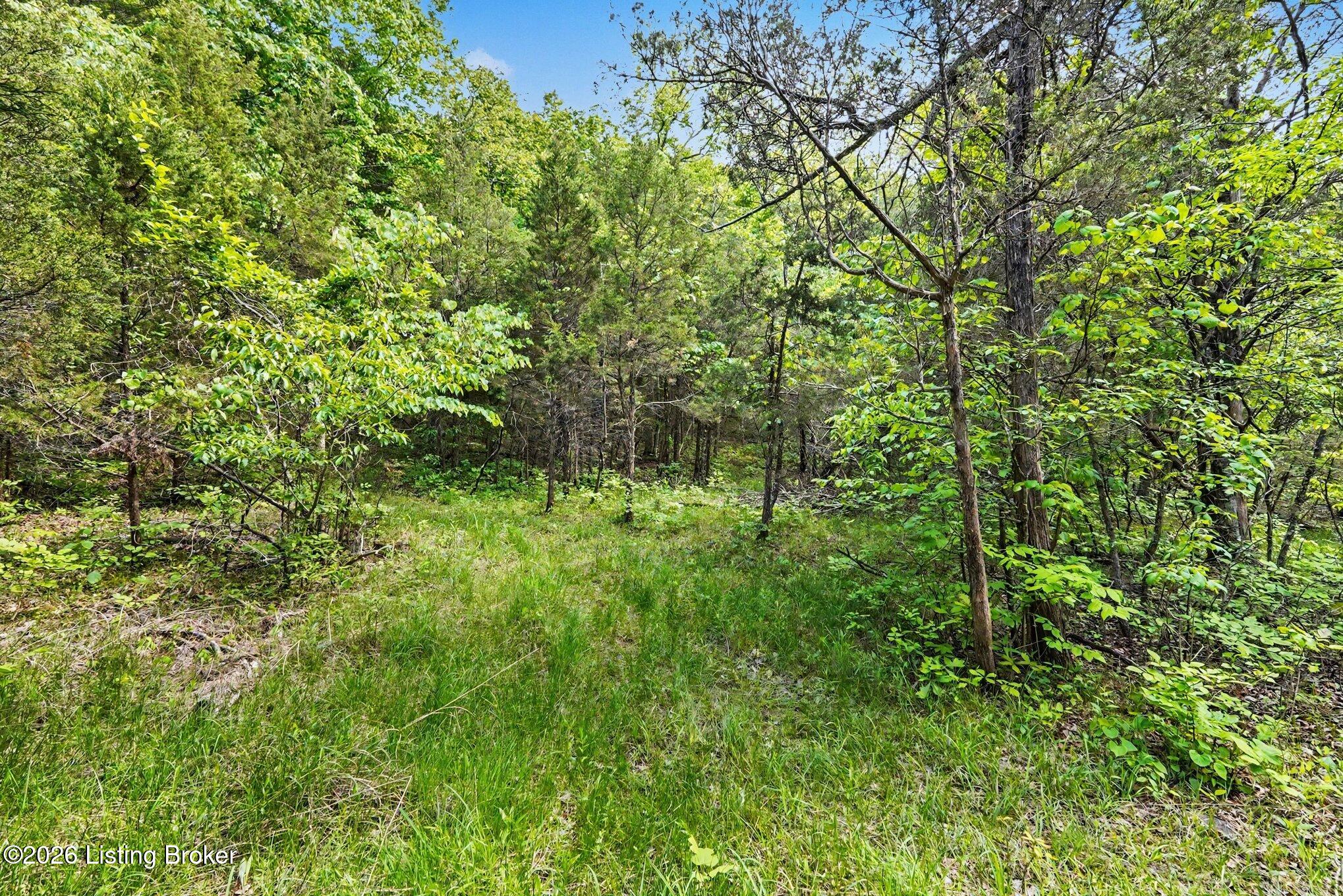 130 Rocky Run Ct