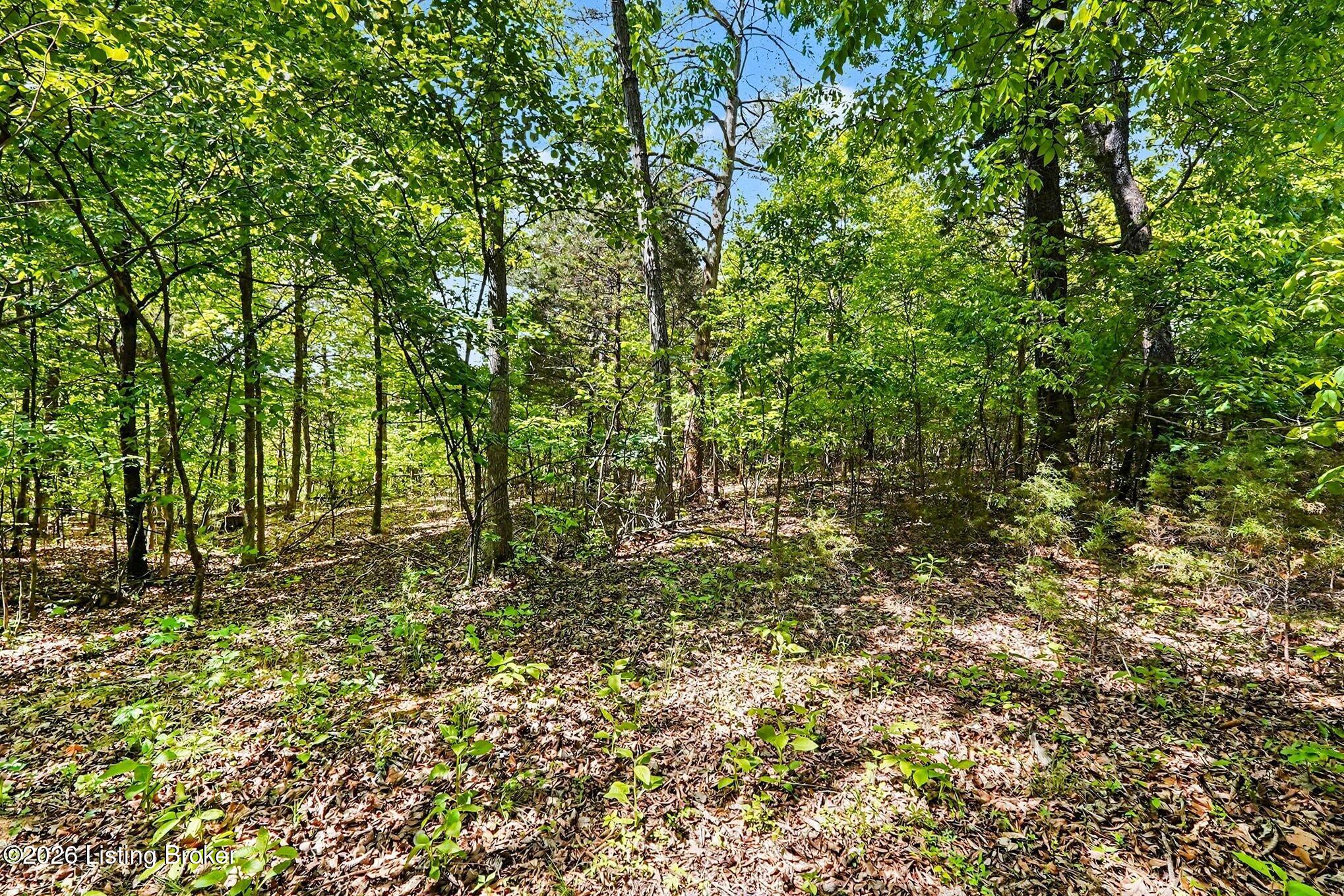 130 Rocky Run Ct