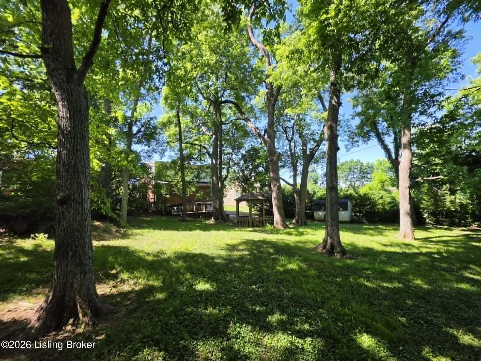 2015 Tyrone Dr