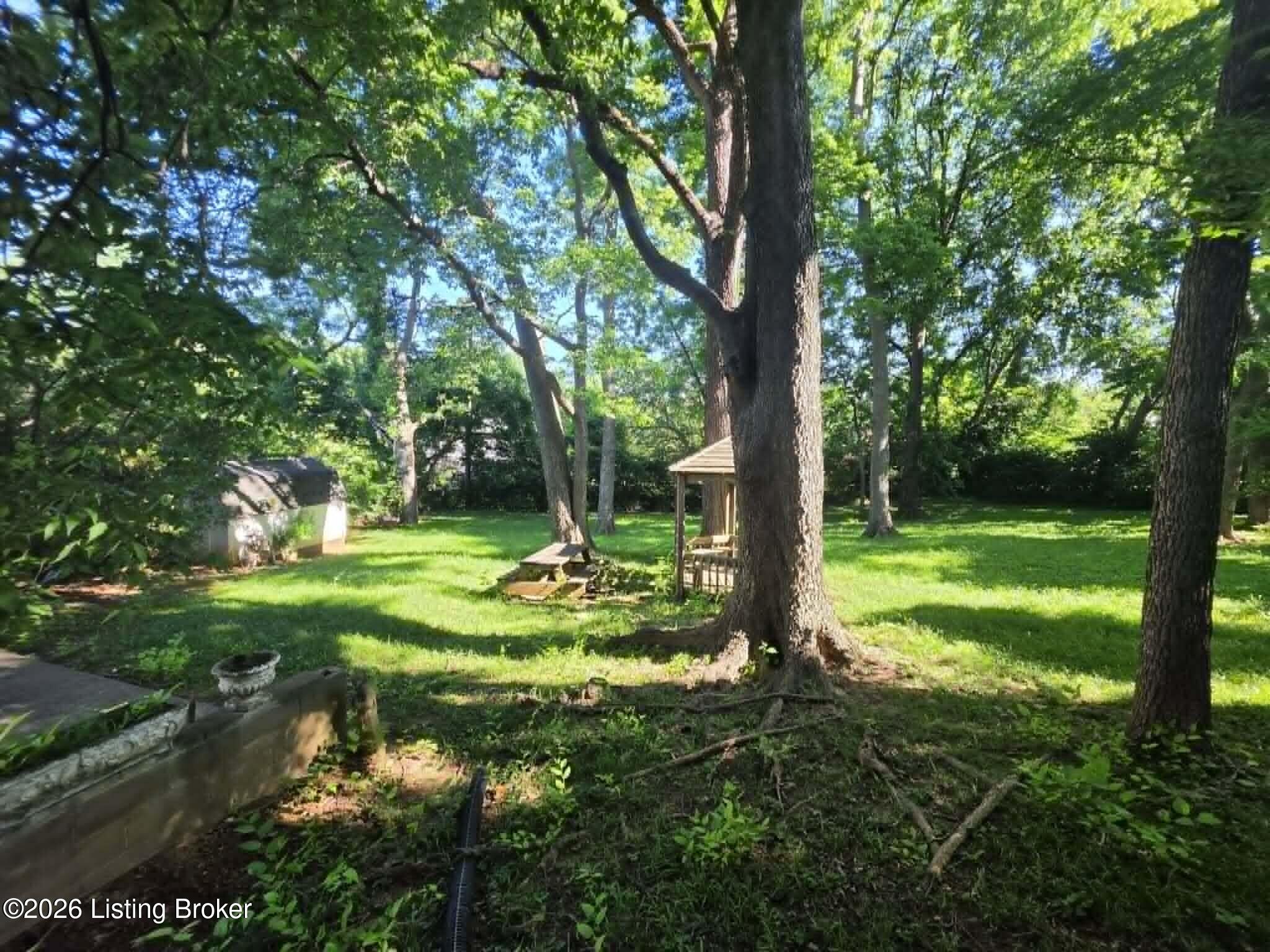 2015 Tyrone Dr
