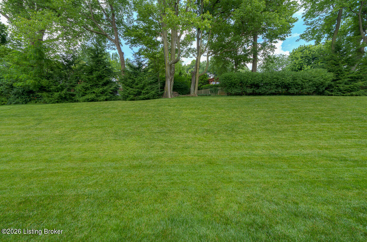 4513 Wolfspring Dr