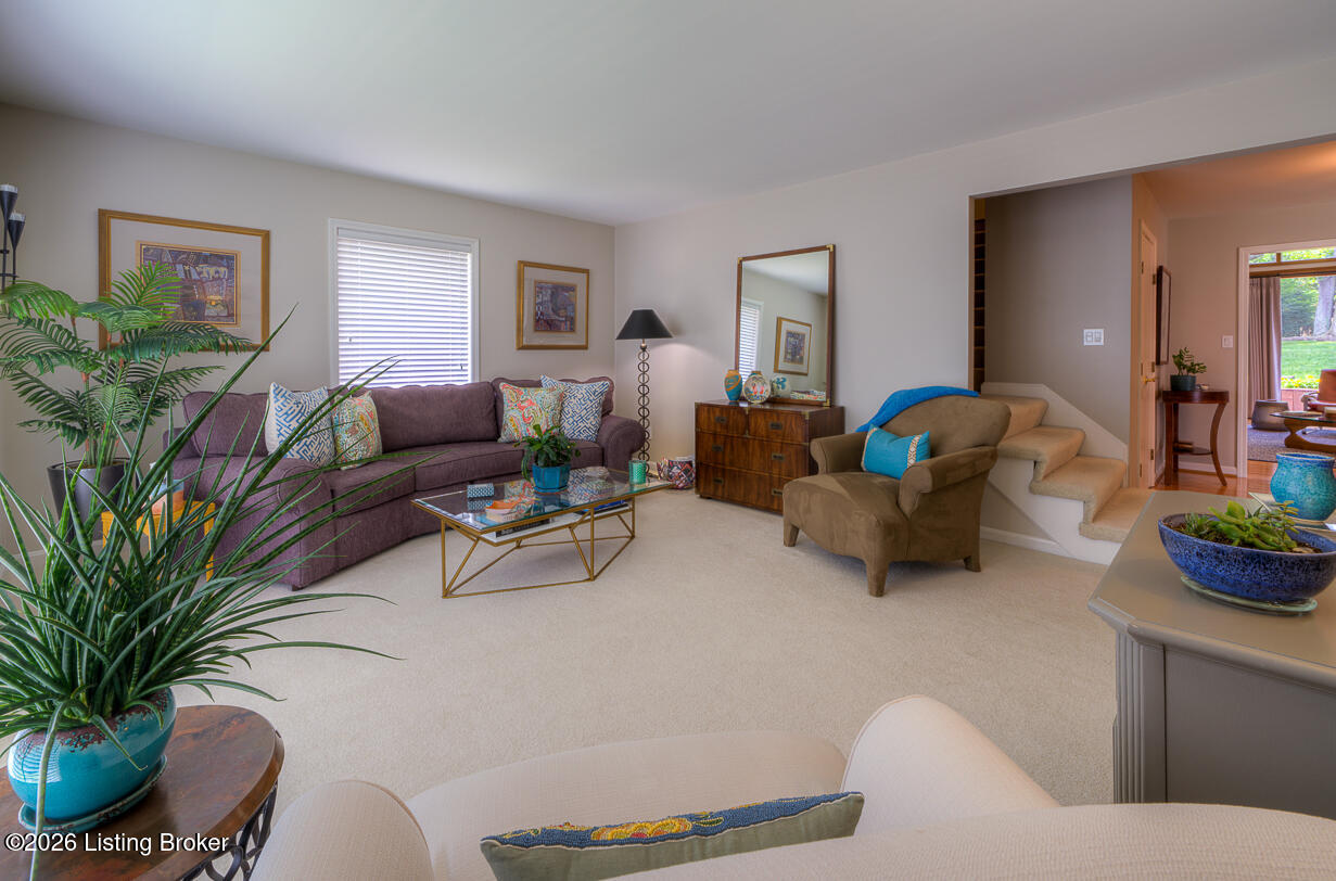 4513 Wolfspring Dr