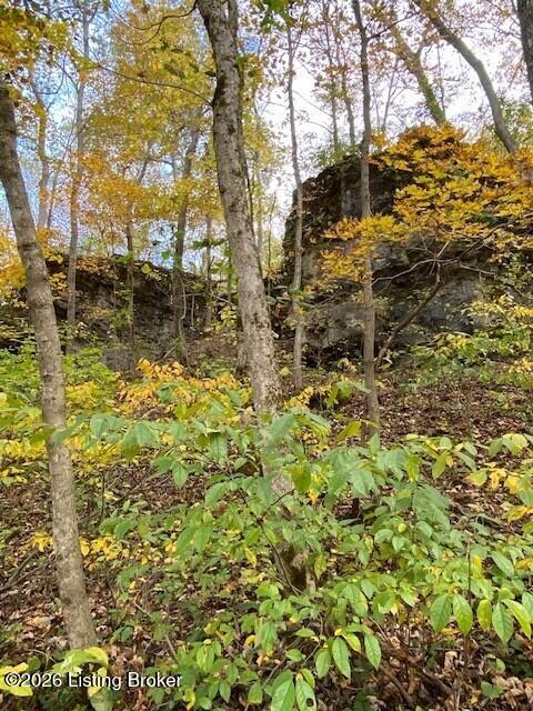 1193 Castlerock Dr