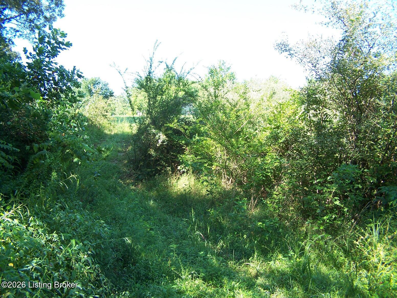 0 Anna Sandhill Rd
