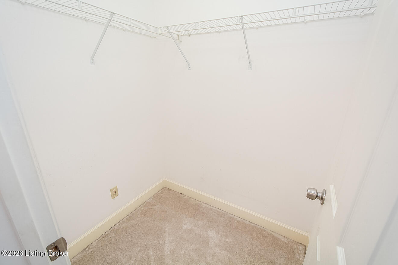 8421 Elsie Ct