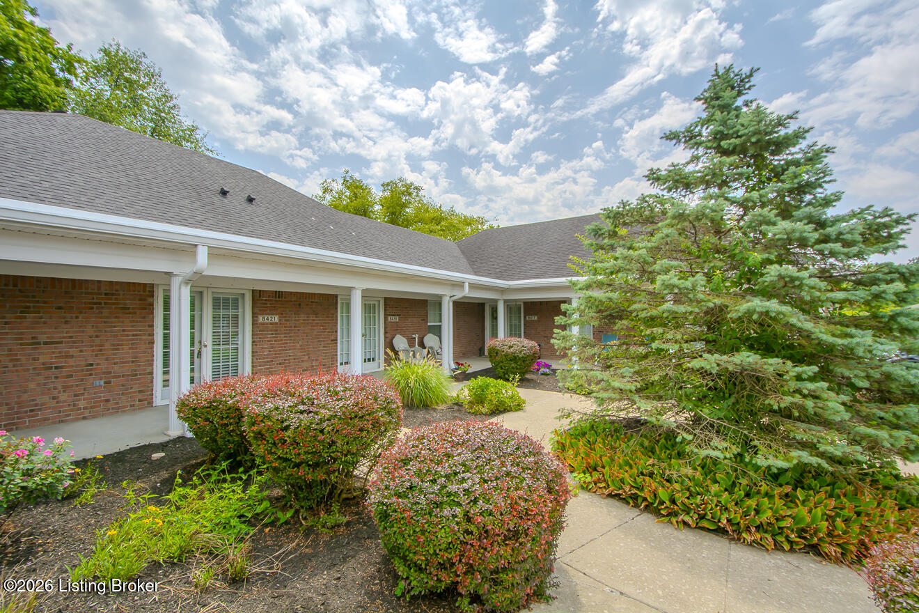 8421 Elsie Ct