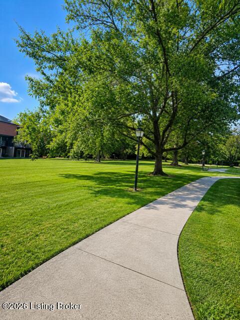 3503 Lodge Ln 307