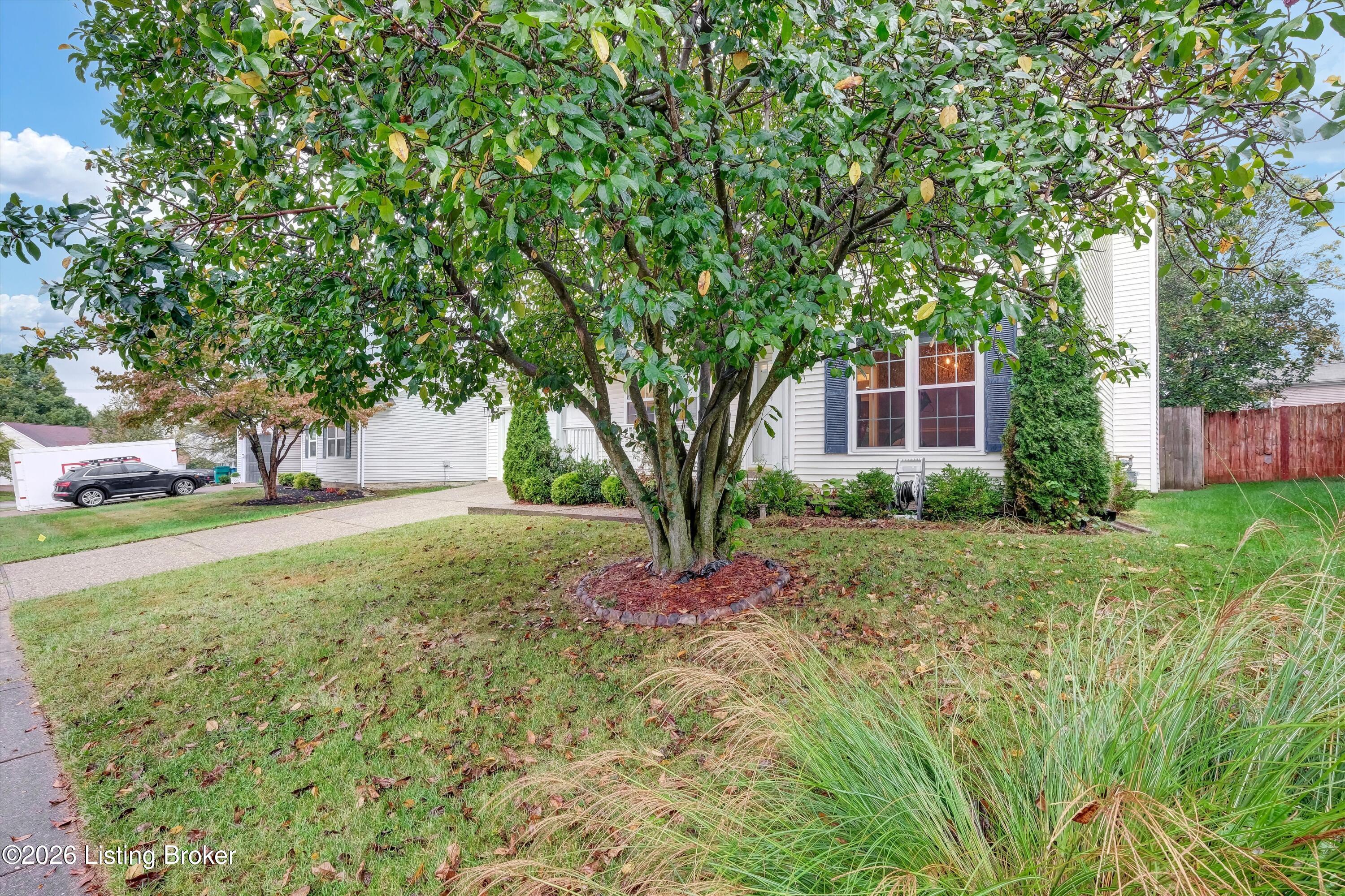 4538 Oak Pointe Dr