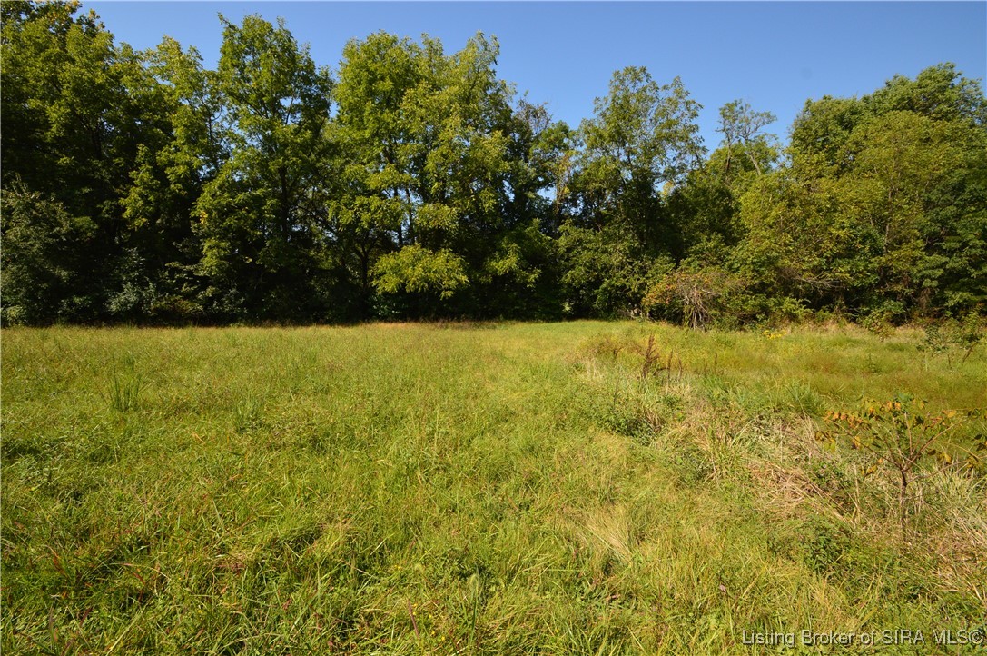 2436 Bohannon Lane