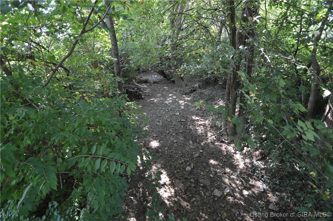 2436 Bohannon Lane
