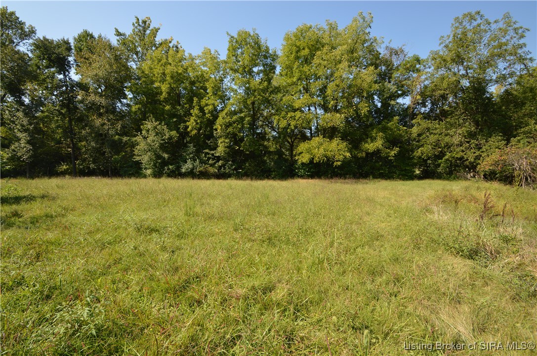 2436 Bohannon Lane