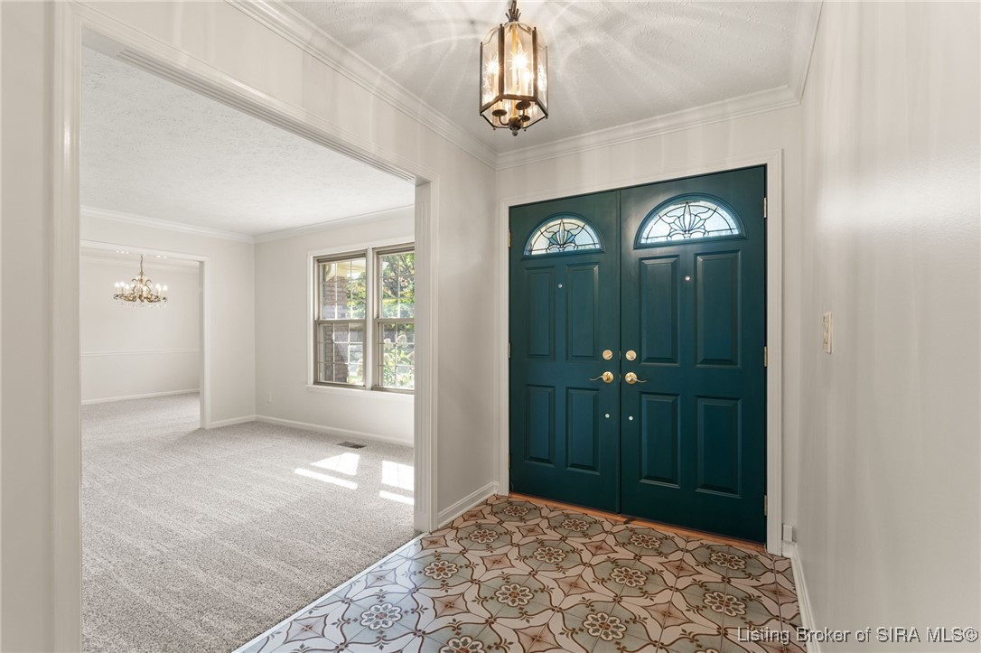 1113 Doebrook Drive