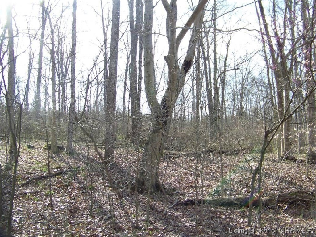 Browns Road