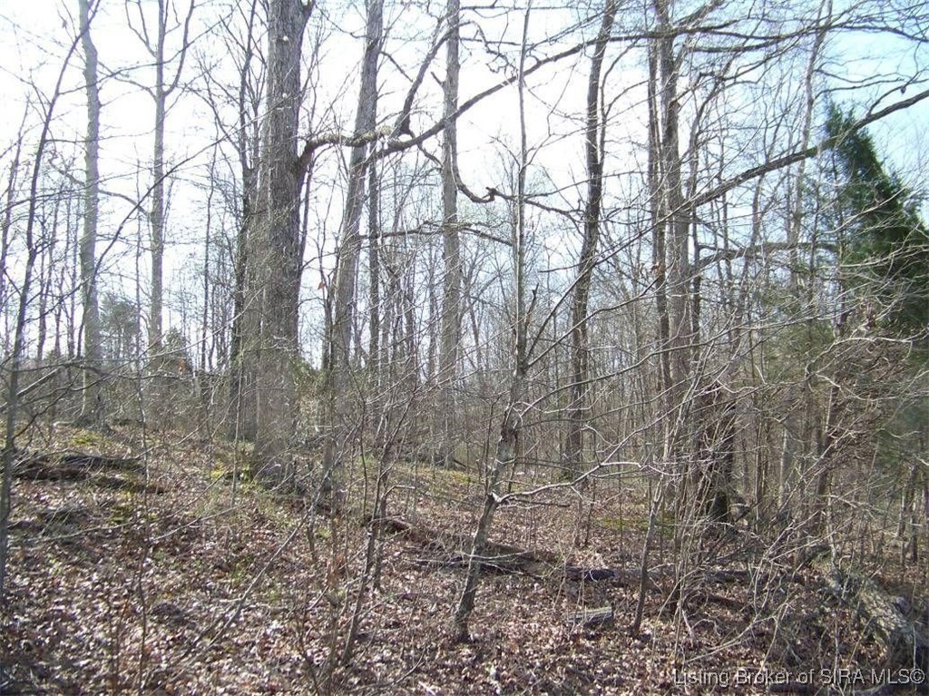 Browns Road