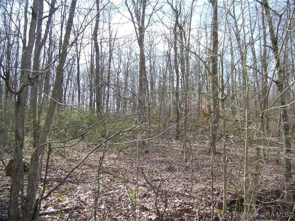 Browns Road