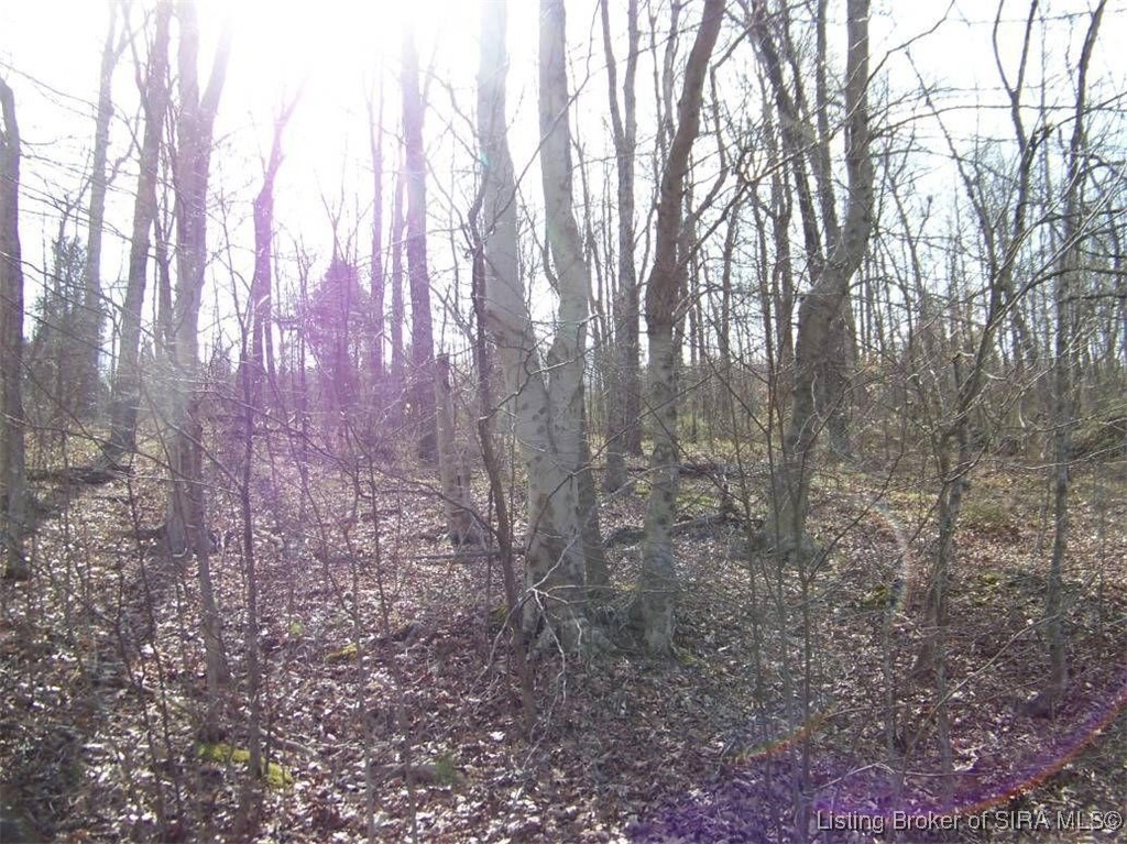 Browns Road
