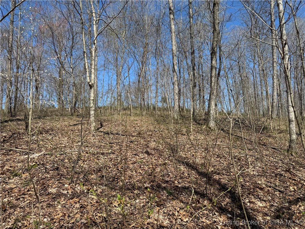 off E Magnolia Road