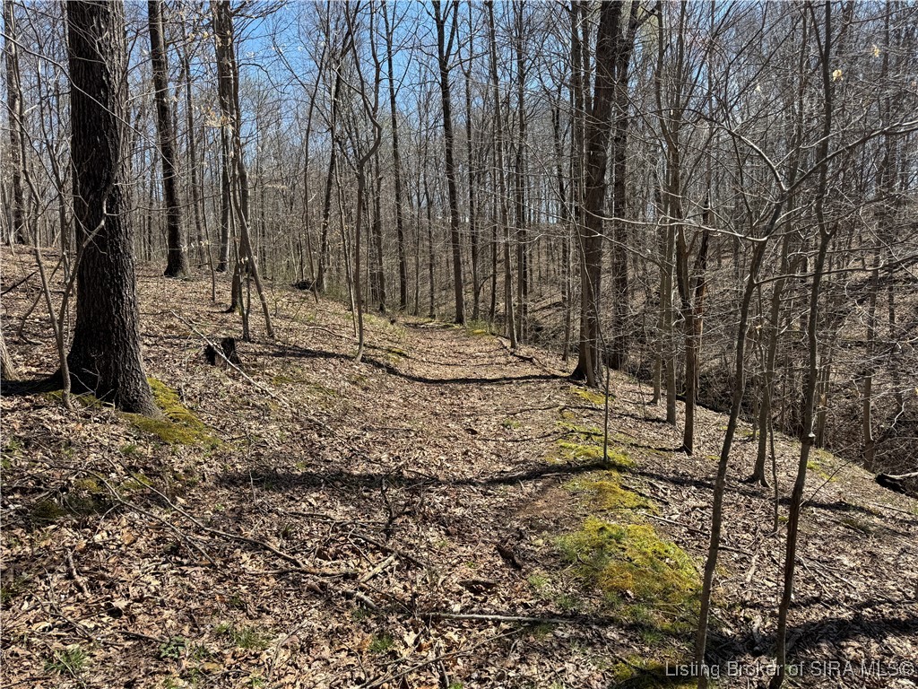 off E Magnolia Road