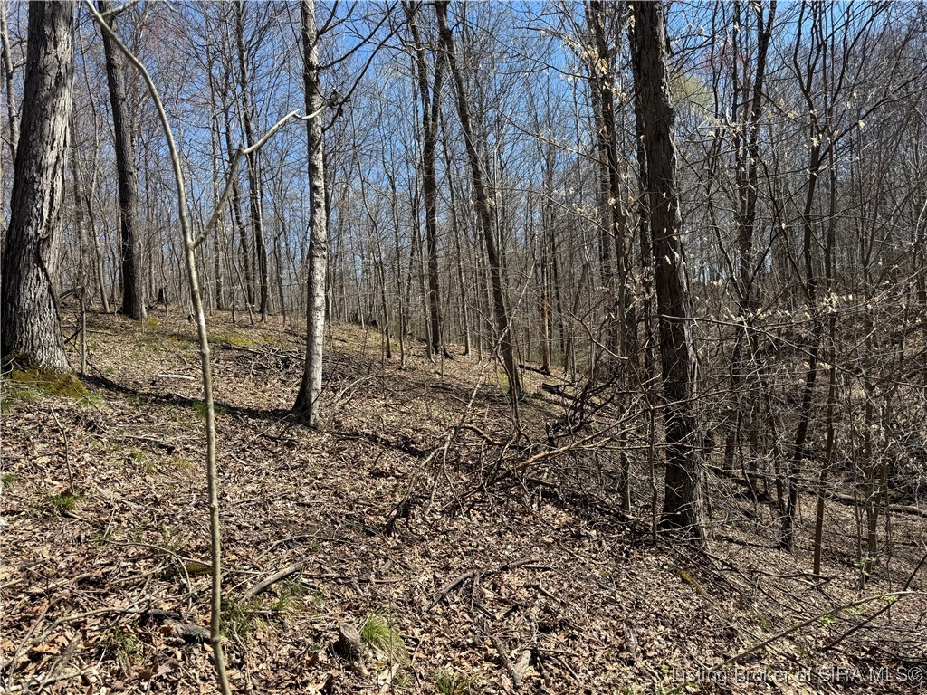 off E Magnolia Road