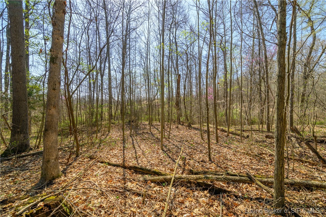 Lot 4 E Lovers Lane