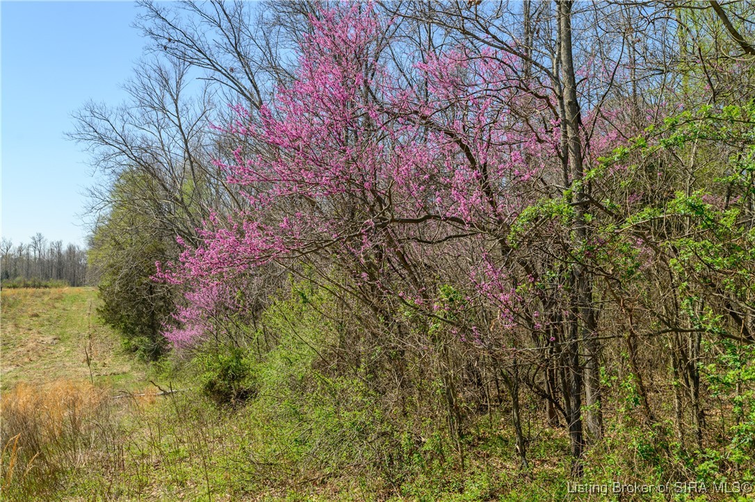 Lot 4 E Lovers Lane