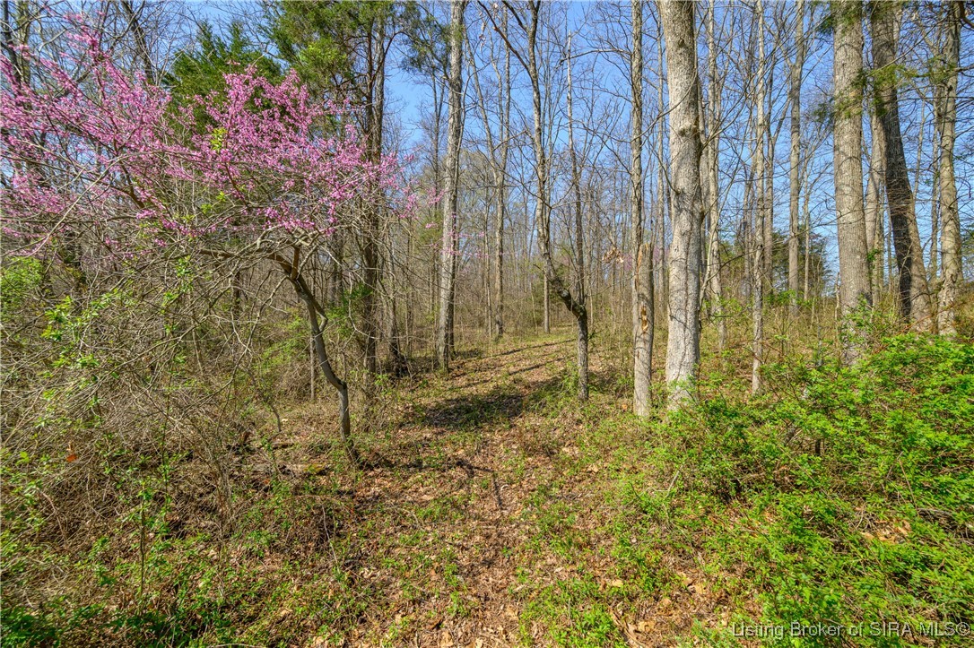 Lot 4 E Lovers Lane
