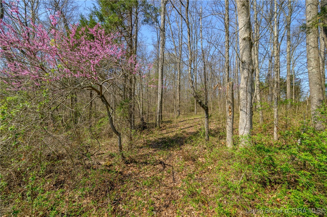 Lot 4 E Lovers Lane