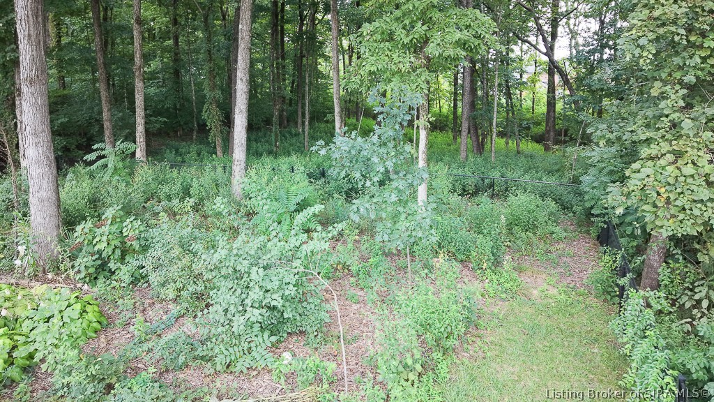 6552 Ashley Springs Court