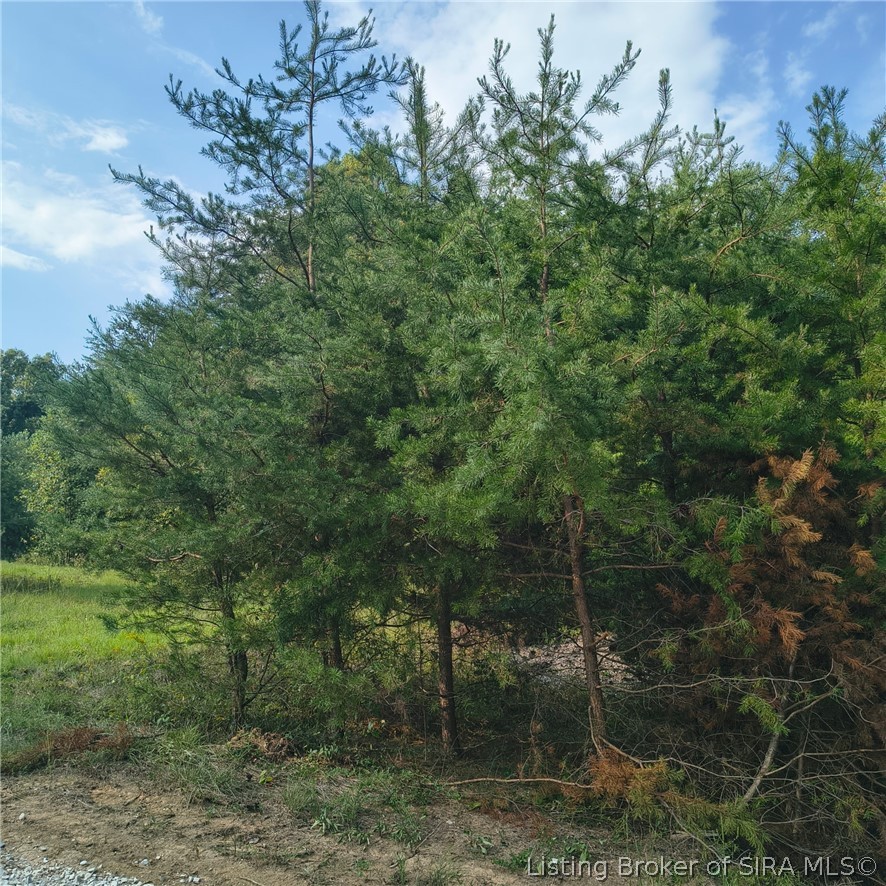 Tract 1 Crooked Lane