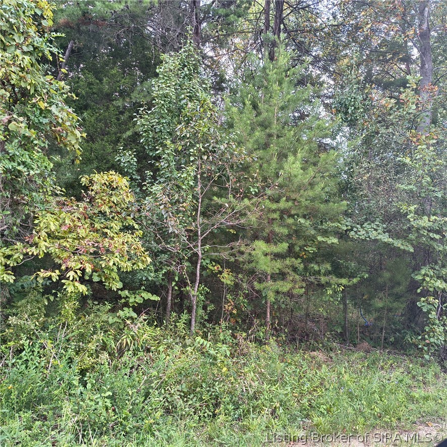 Tract 1 Crooked Lane
