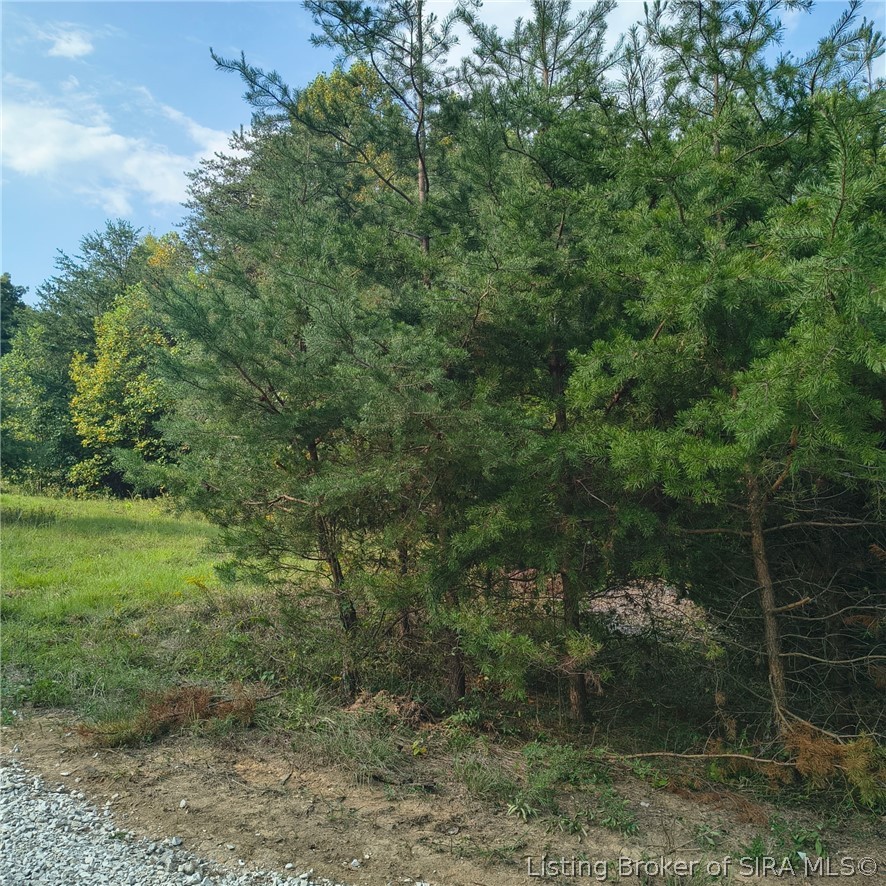 Tract 1 Crooked Lane