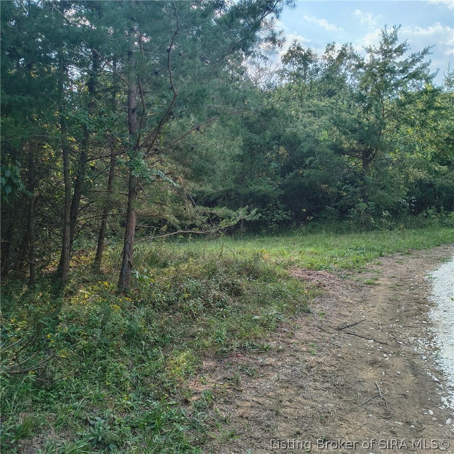 Tract 1 Crooked Lane
