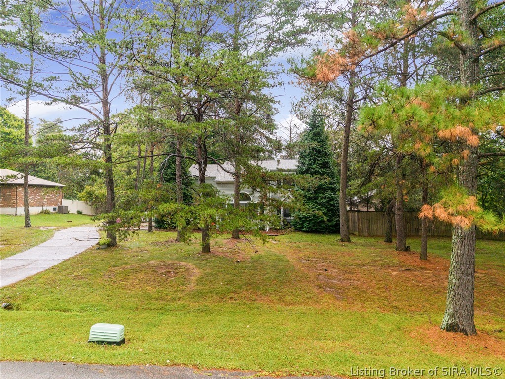 1135 Pinewood Drive