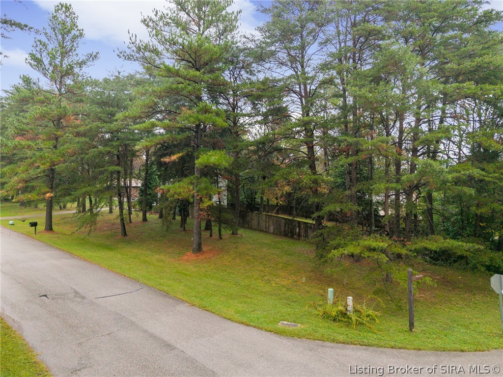 1135 Pinewood Drive