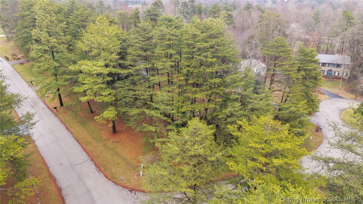 1135 Pinewood Drive