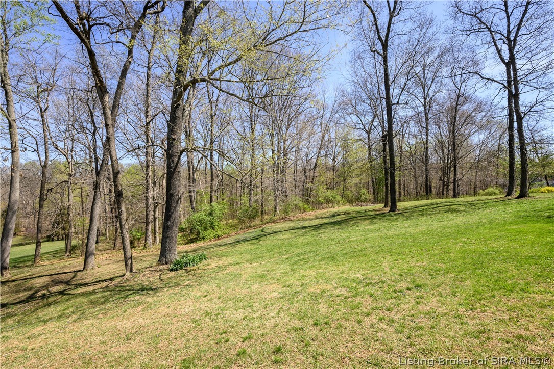 7456 Saddlebrook Court
